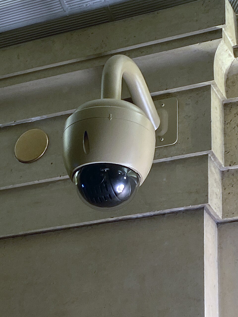Camera mount